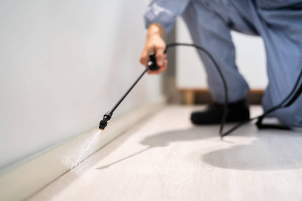Licensed Pest Control service in Kayak Point, WA - Show Me Pest Control