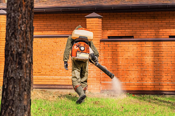 Bed Bug Clearance Verification and Documentation in Kayak Point